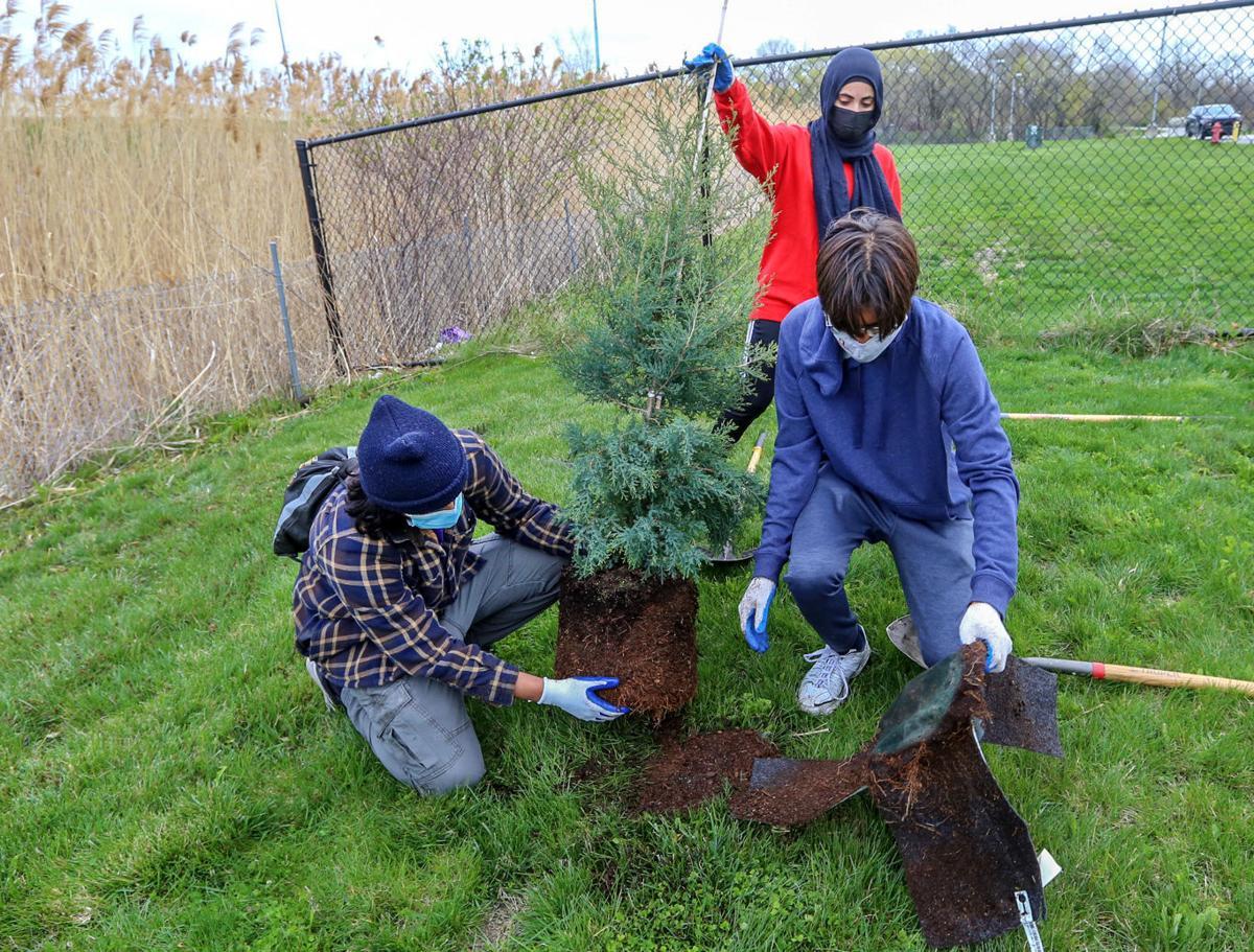 SCA Tree-Planting Blitz Kicks Off at County Park